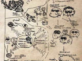 Evolution schema of the Iuu/Yuyu species